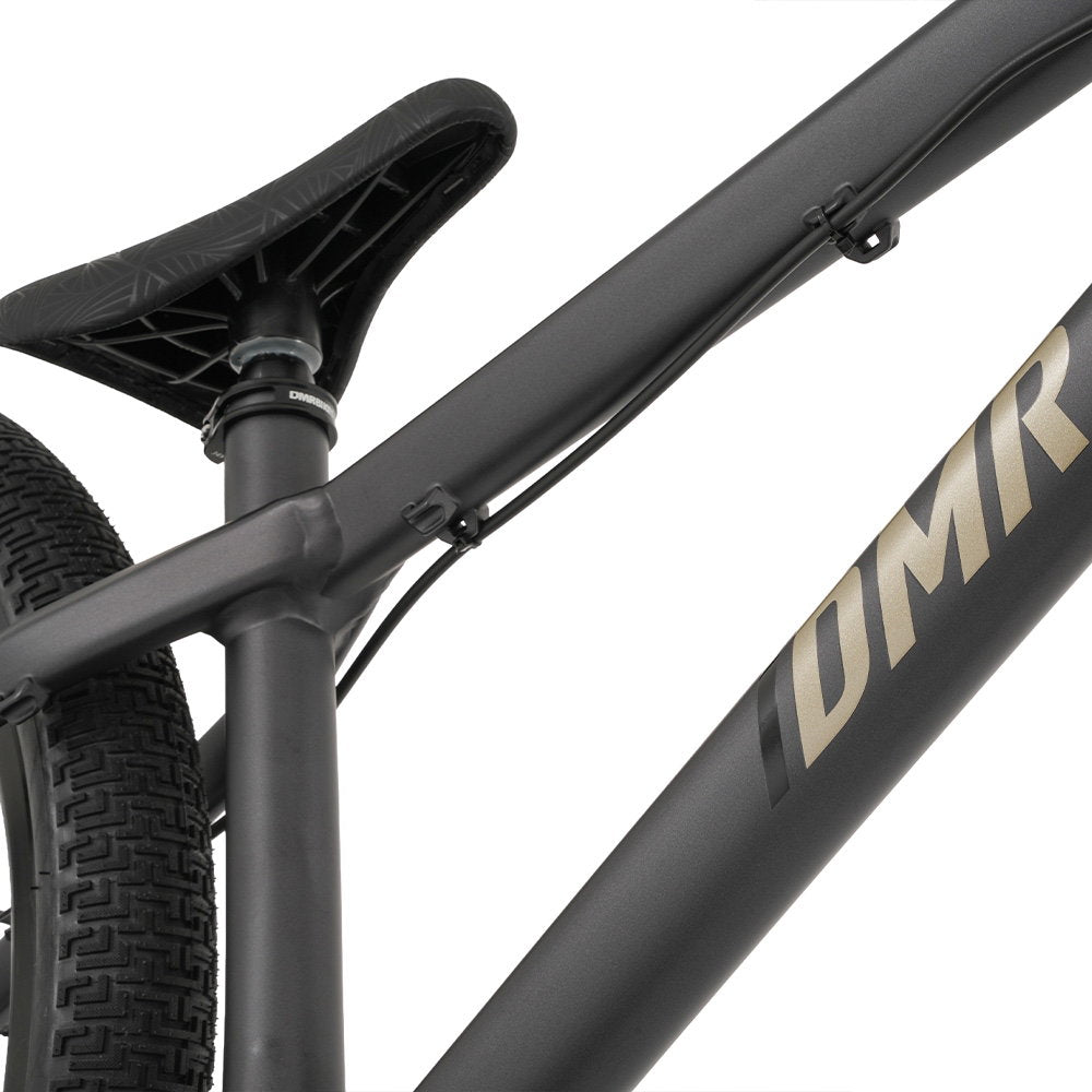 DMR - Bike Rhythm Expert