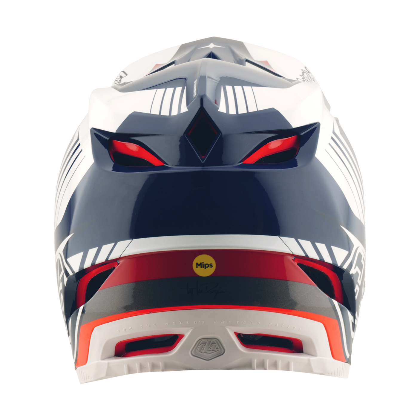 Troy Lee Designs D4 Polyacrylite