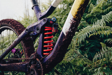 Bikes & Frames