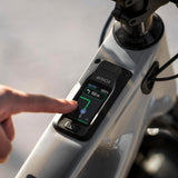 AMFLOW PX Carbon