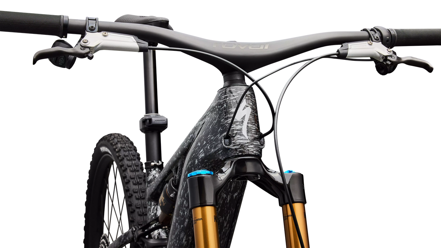 S-WORKS Turbo Levo R