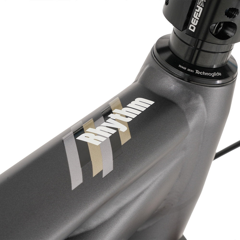 DMR - Bike Rhythm Expert