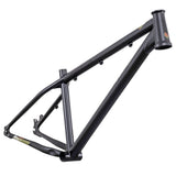 DMR - Frame - Sect 26 Custom
