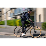 HIPLOK Urban D Lock w/ Frame Mount