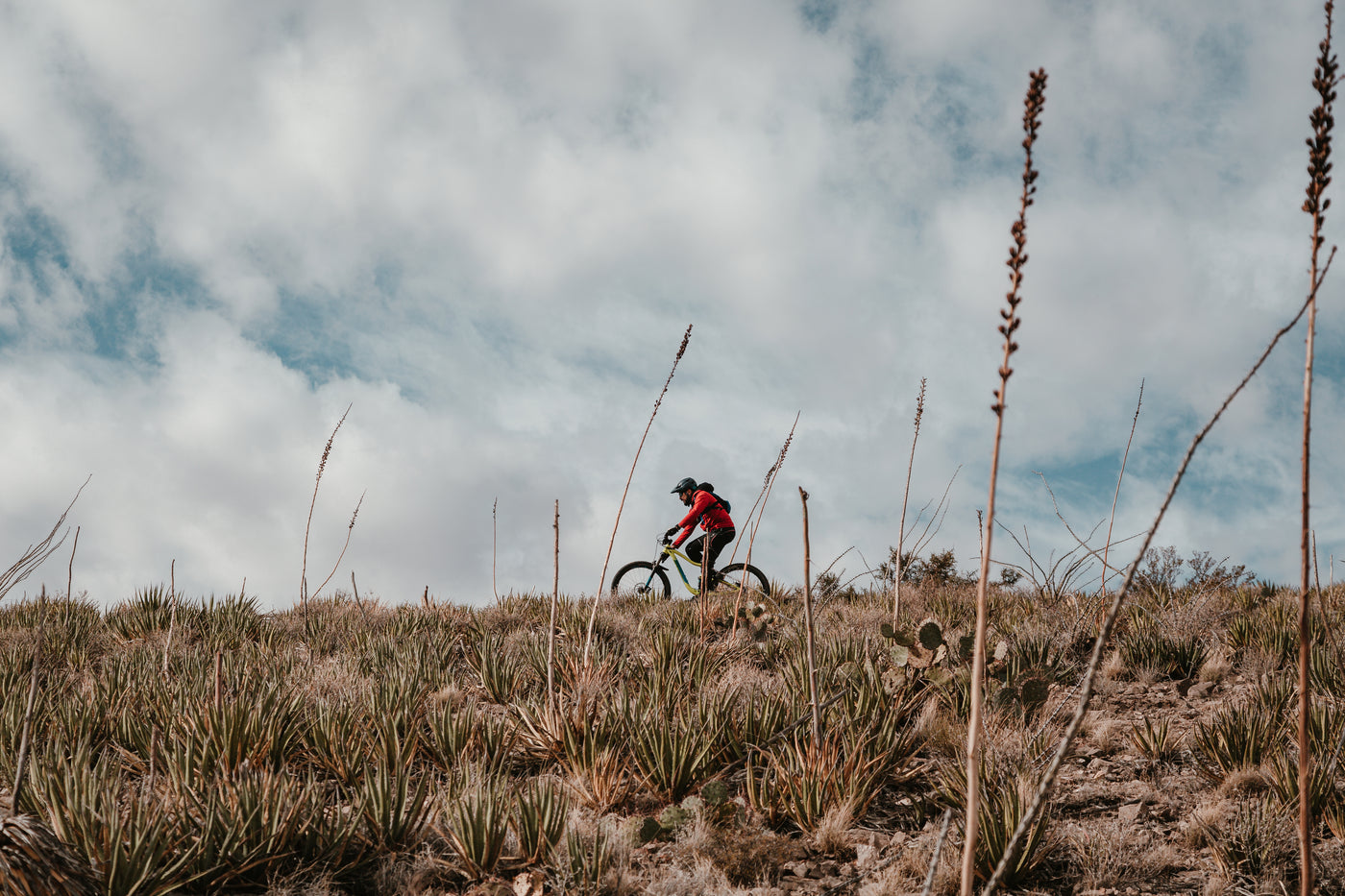 Man riding a mountain bike on the hillside