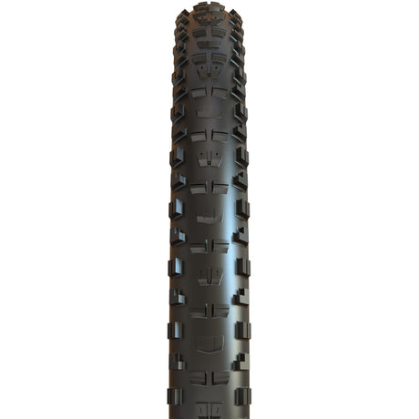 MAXXIS Minion DHR II [all variants]
